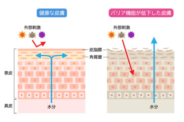 乾燥レベル急上昇中の今にはコレがオススメ