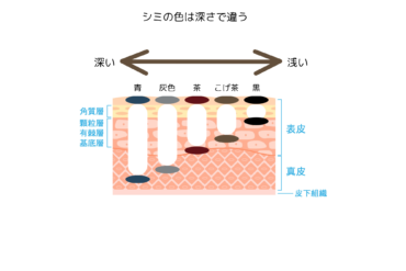 エステティシャンがお肌のハリ弾力低下、くすみシミまで引き起こす「糖化」を解説