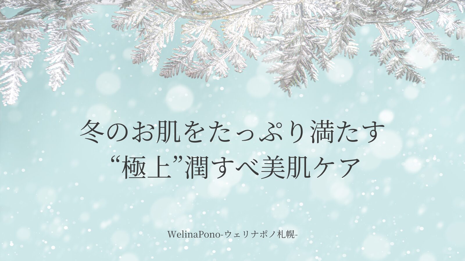 乾燥やシワ・くすみや毛穴開き。エイジングケアウェリナポノ札幌。イメージ画像