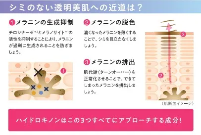シミ排出のメカニズム。イメージ画像