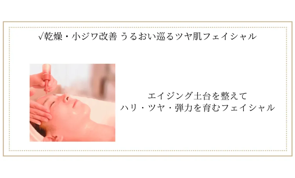 乾燥やくすみ、毛穴開きや吹き出物・しわに。美肌フェイシャルエステ
