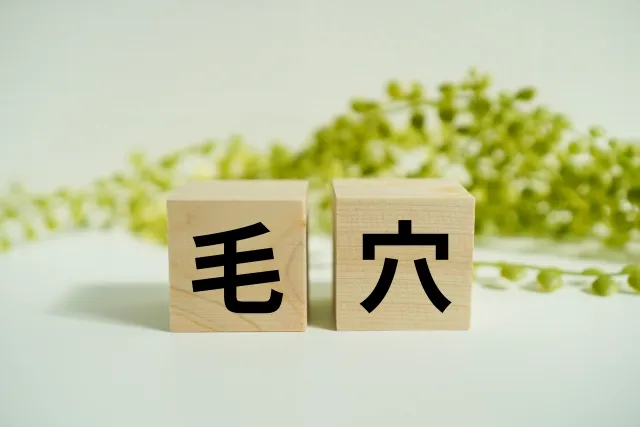 毛穴開きや黒ずみ毛穴、たるみ毛穴…。本当に改善するためには?札幌エステ イメージ画像