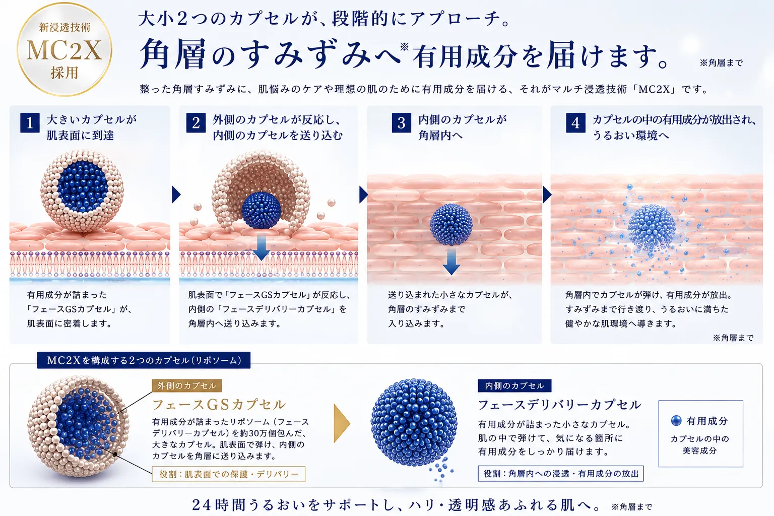 浸透するからお肌が変わる。しわやたるみ、毛穴開きニキビや赤みにも。イメージ画像