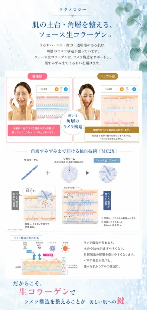 札幌 フェイシャル
肌質改善 敏感肌
乾燥肌エイジングケアやシミケアに。フェース生コラーゲン
札幌 エイジングケア