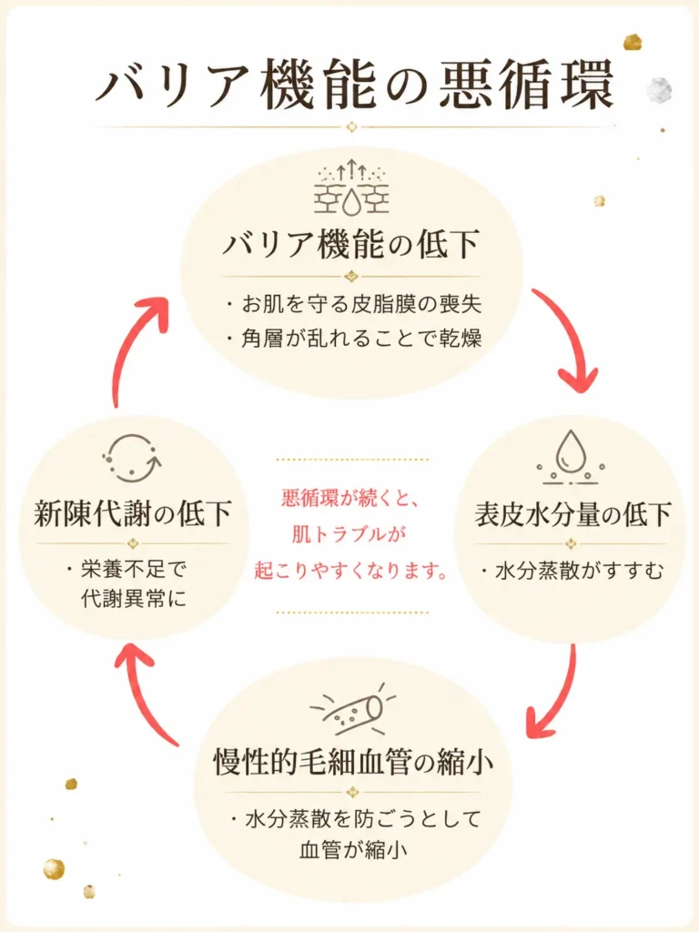 皮むけやカサツキ、敏感肌や赤みに。イメージ画像。札幌ウェリナポノ