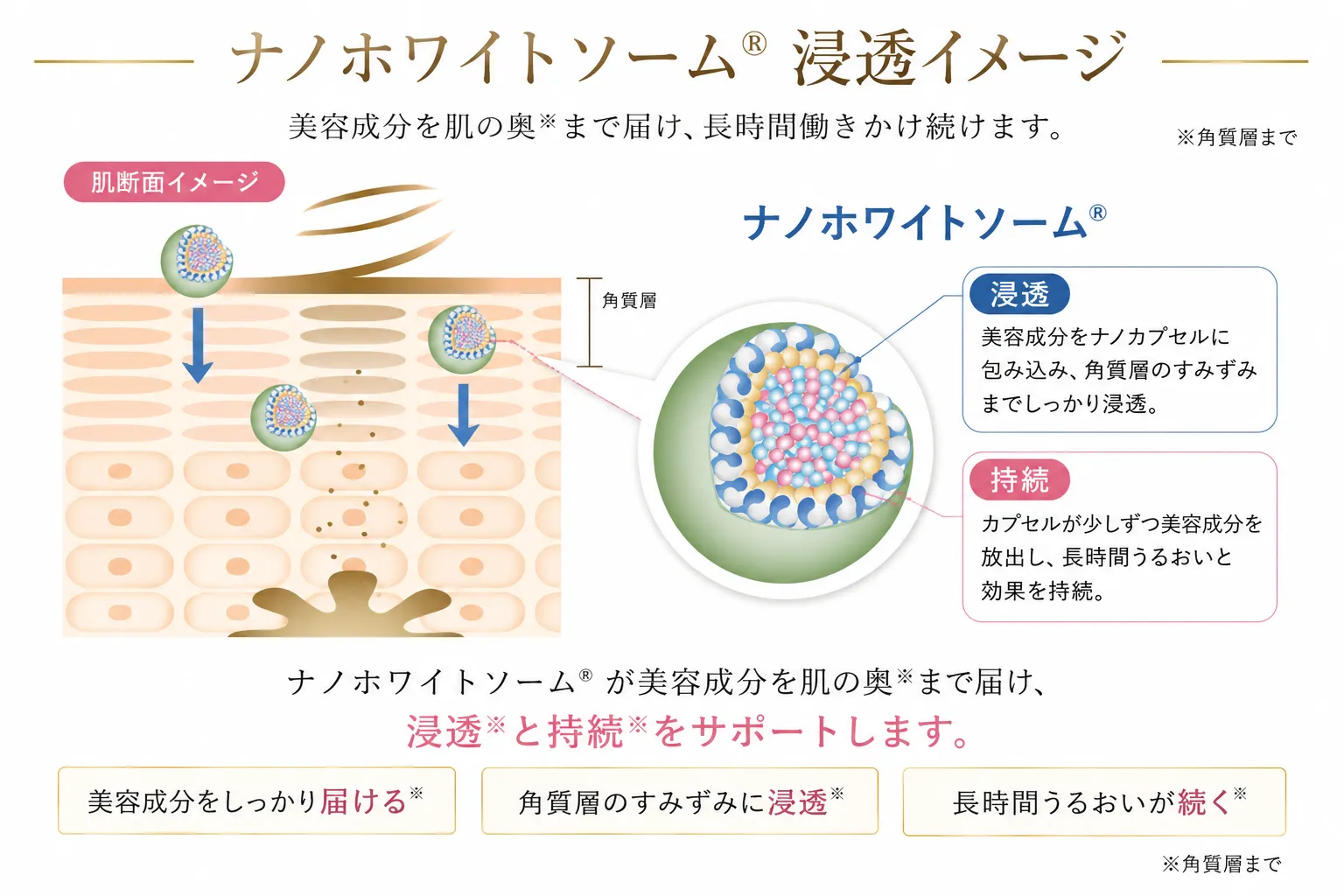 肌の奥まで届くからシミが薄くなる。美容液兼美白クリーム